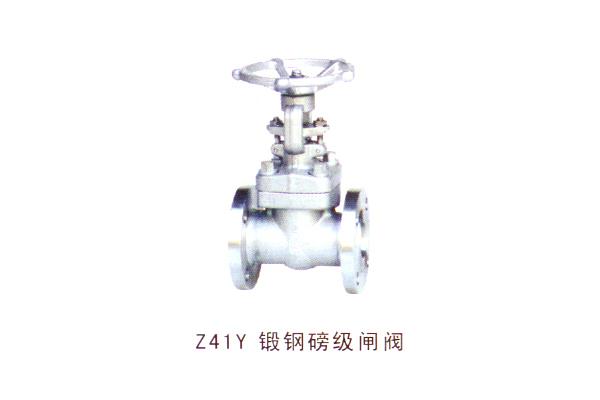 Z41Y 鍛鋼磅級(jí)閘閥