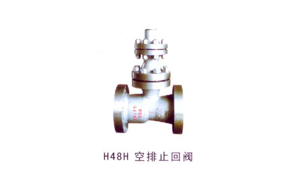 H48H 空排止回閥