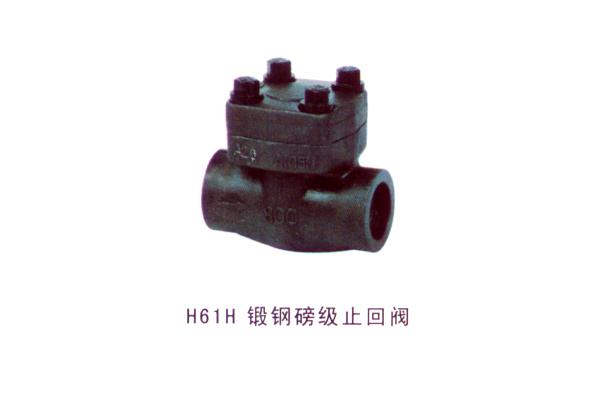 H61H 鍛鋼磅級(jí)止回閥