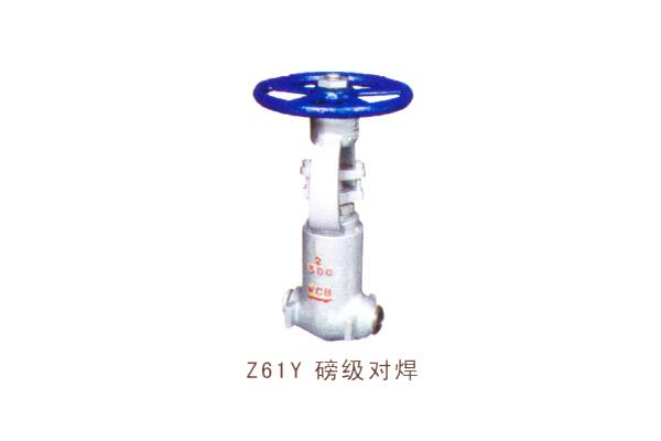 Z61Y 磅級(jí)對(duì)焊閘閥