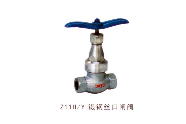 Z11H Y 鍛鋼絲口閘閥