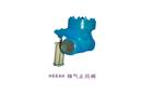 H664H 抽氣止回閥
