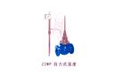 ZZWP 自力式溫度調(diào)節(jié)閥