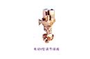 電動(dòng)V型調(diào)節(jié)球閥