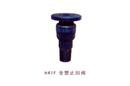 H41F 全塑止回閥