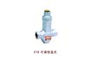 STB可調(diào)恒溫式